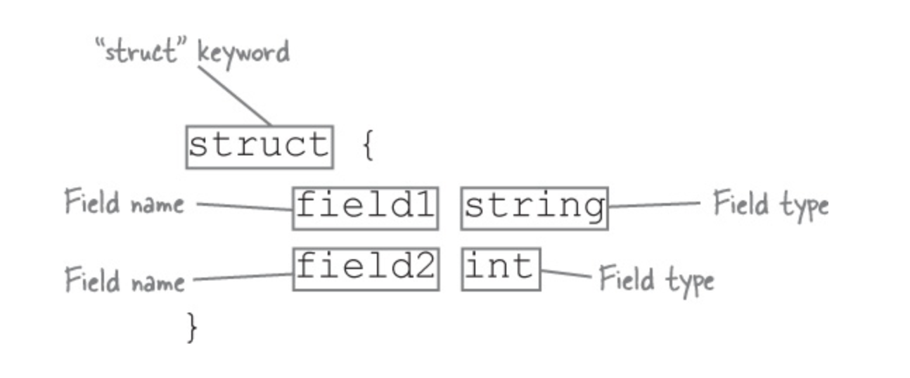 Structs Pointers In Go
